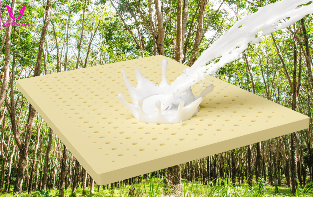 nem cao su thien nhien la gi 1 1536x967 min