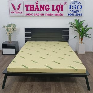 NỆM CAO SU NON MASSAGE THẮNG LỢI 1 min