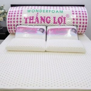 NỆM CAO SU WONDER FOAM THẮNG LỢI 489895034812 min 1 600x339 min