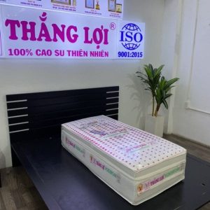 NỆM CAO SU WONDER FOAM GẤP 3 541962 nem cao su wonder foam gap 3 congtynem 2 min 600x600 min