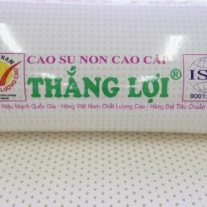 NỆM CAO SU NON CAO CẤP THẮNG LỢI 811331456445 min 600x338 min