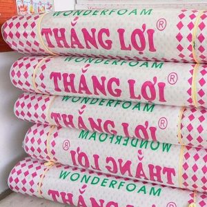 NỆM CAO SU WONDER FOAM THẮNG LỢI SWtDu8TamVTbULZCAwYj min 600x600 min