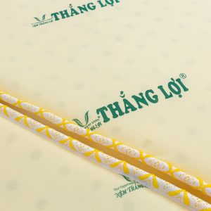 NỆM CAO SU NON THẮNG LỢI GẤP 3 ez8a0072 3286 min min