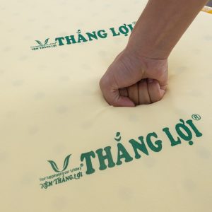 NỆM CAO SU NON THẮNG LỢI GẤP 3 ez8a0076 4004 min min