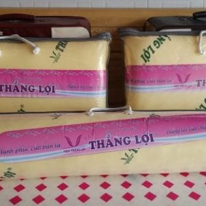 BỘ GỐI CAO SU NON THẮNG LỢI goi om cao su non min 600x311 min