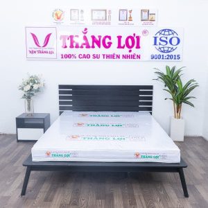 NỆM CAO SU NON CAO CẤP THẮNG LỢI nem cao su non cao cap thang loi min 600x600 min
