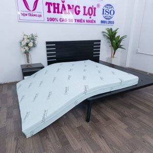 NỆM CAO SU HOẠT TÍNH THẮNG LỢI nem cao su than hoat tinh thang loi chat luong min 600x600 min