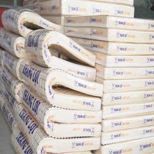 NỆM CAO SU GOLD LATEX THẮNG LỢI nem cao su thang loi gold latex 15 min 600x720 min