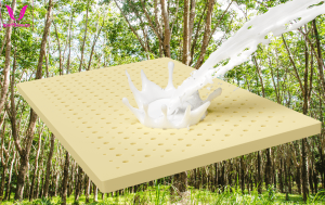 nem cao su thien nhien la gi 600x378 min