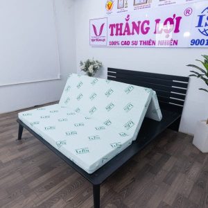 NỆM CAO SU THIÊN NHIÊN SUPER WIN GẤP 3 nem cao su thien nhien super win gap 3 2 1355 min 600x600 min