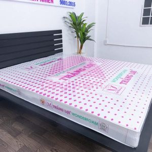 NỆM CAO SU WONDER FOAM THẮNG LỢI nem cao su wonder foam 4 3666 min 1 600x600 min