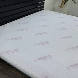 NỆM FOAM CAO CẤP MASSAGE THẮNG LỢI nem foam cao cap massage 1 4892 min 600x600 min