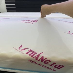 NỆM FOAM CAO CẤP MASSAGE THẮNG LỢI nem foam cao cap massage 12 1517 min 600x600 min