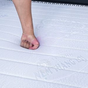 NỆM MEMORY FOAM THẮNG LỢI nem memory foam 5 7540 hitpaw.com min min