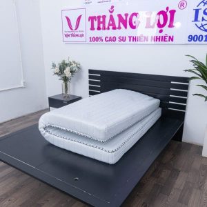 NỆM MEMORY FOAM THẮNG LỢI nem memory foam thang loi 1 2555 min 600x600 min