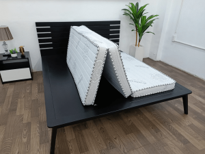 top 3 nem cao su nhan tao va tong hop tai nem thang loi 3 600x450 min