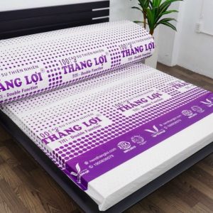 NỆM CAO SU 100% TITI – DOUBLE FUNCTION z5082433192206 9ad0efb54ca1e03da3691ea8d92193ef min min