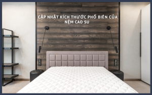 kích thước nệm cao su