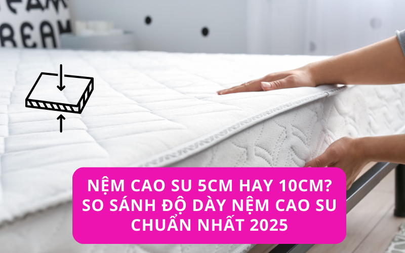nên chọn nệm cao su 5cm hay 10cm