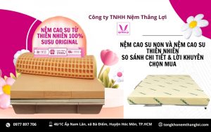 NỆM CAO SU NON VÀ NỆM CAO SU THIÊN NHIÊN: SO SÁNH CHI TIẾT & LỜI KHUYÊN CHỌN MUA
