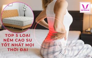 Top 5 loai nem cao su tot nhat moi thoi dai