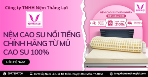 NỆM CAO SU CHÍNH HÃNG, GIÁ RẺ [GIẢM GIÁ LÊN ĐẾN 65%]