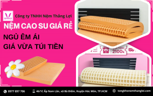 NỆM CAO SU GIÁ RẺ - NGỦ ÊM ÁI, GIÁ VỪA TÚI TIỀN