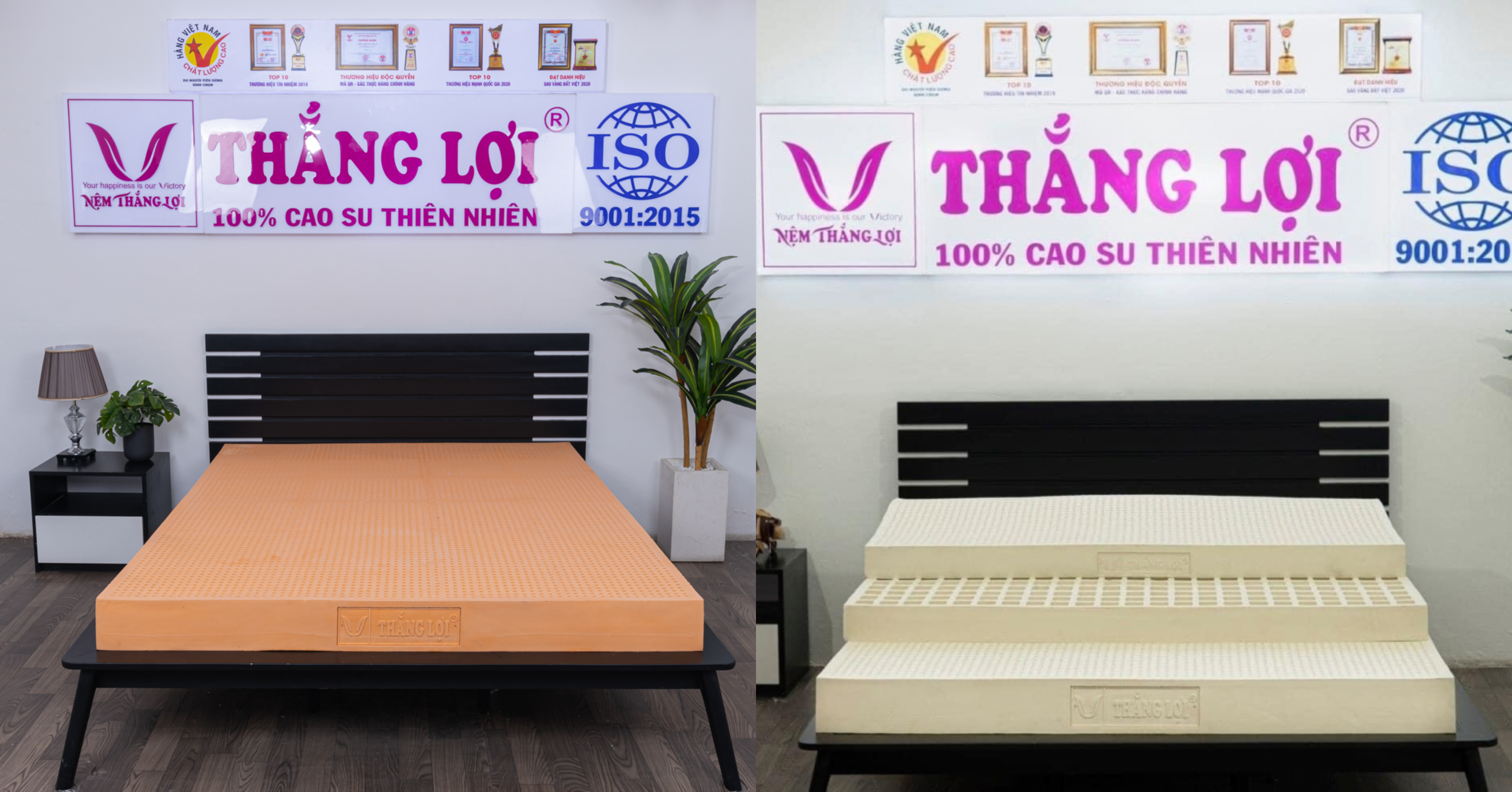 Có nên mua nệm cao su thiên nhiên không?