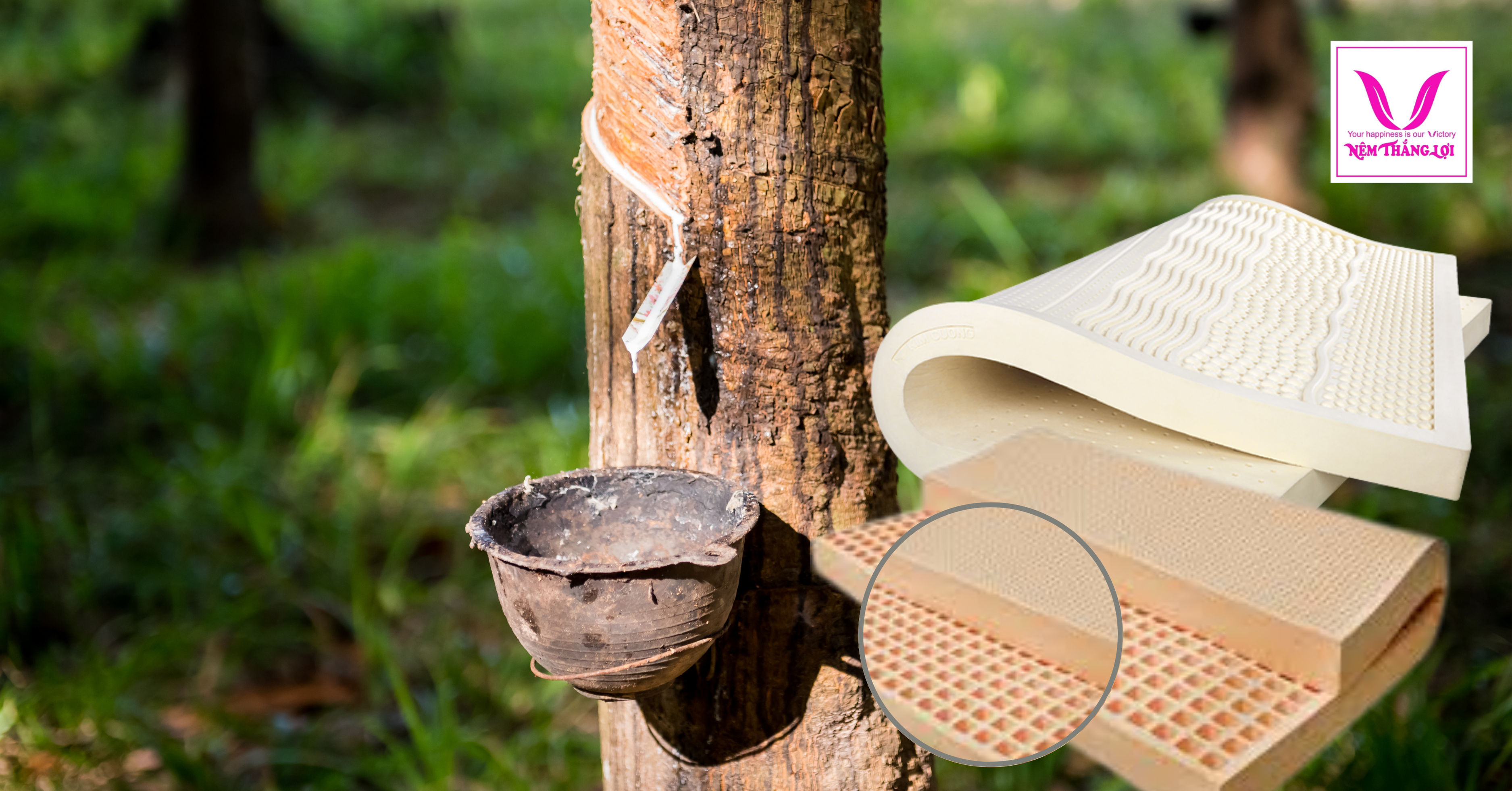 Nệm cao su cao cấp là gì?