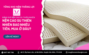 NỆM CAO SU THIÊN NHIÊN BAO NHIÊU TIỀN, MUA Ở ĐÂU?