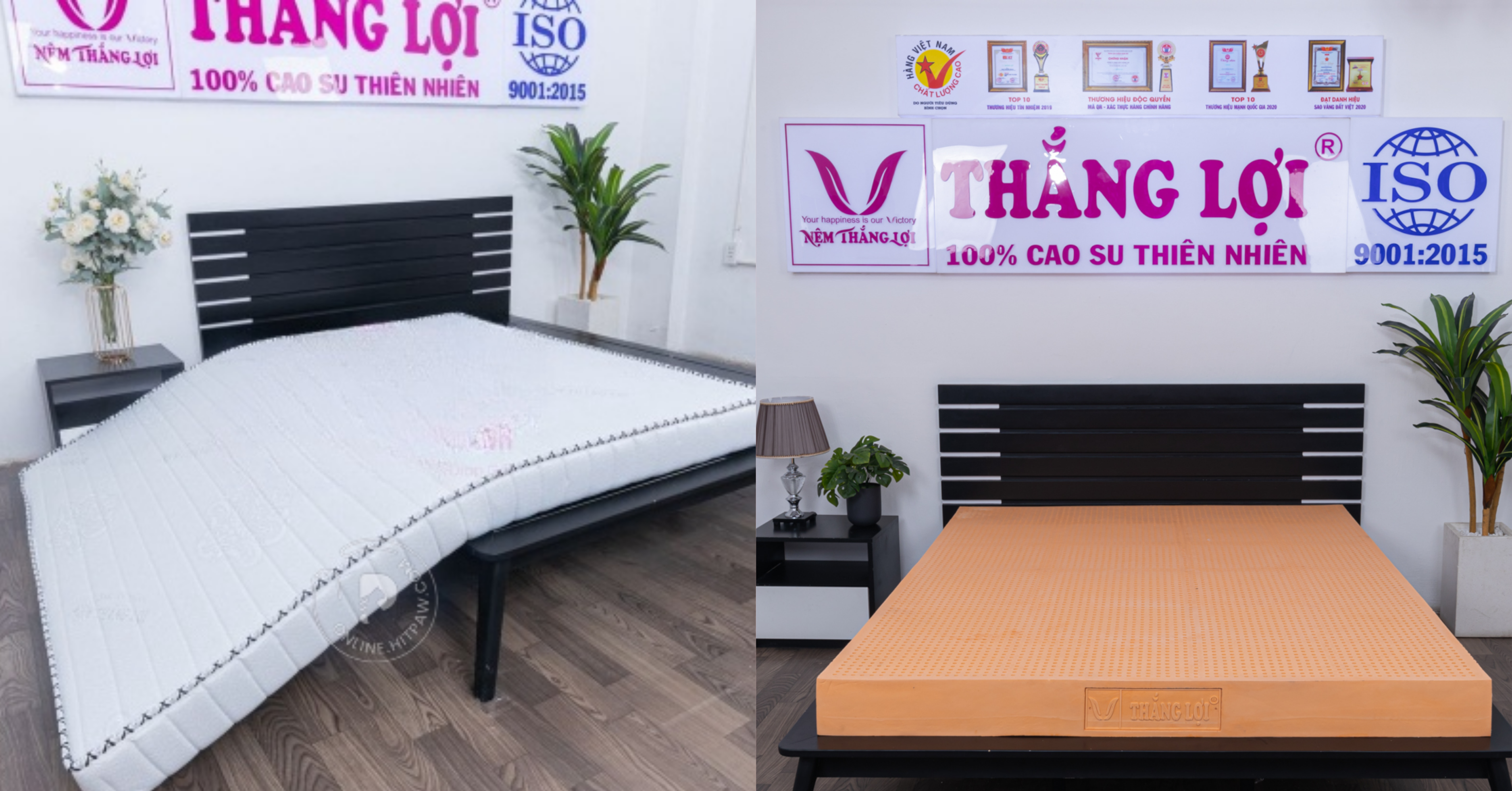 NÊN MUA NỆM MÚT HAY CAO SU, CÁI NÀO TỐT HƠN Tổng quan về nệm mút và nệm cao su