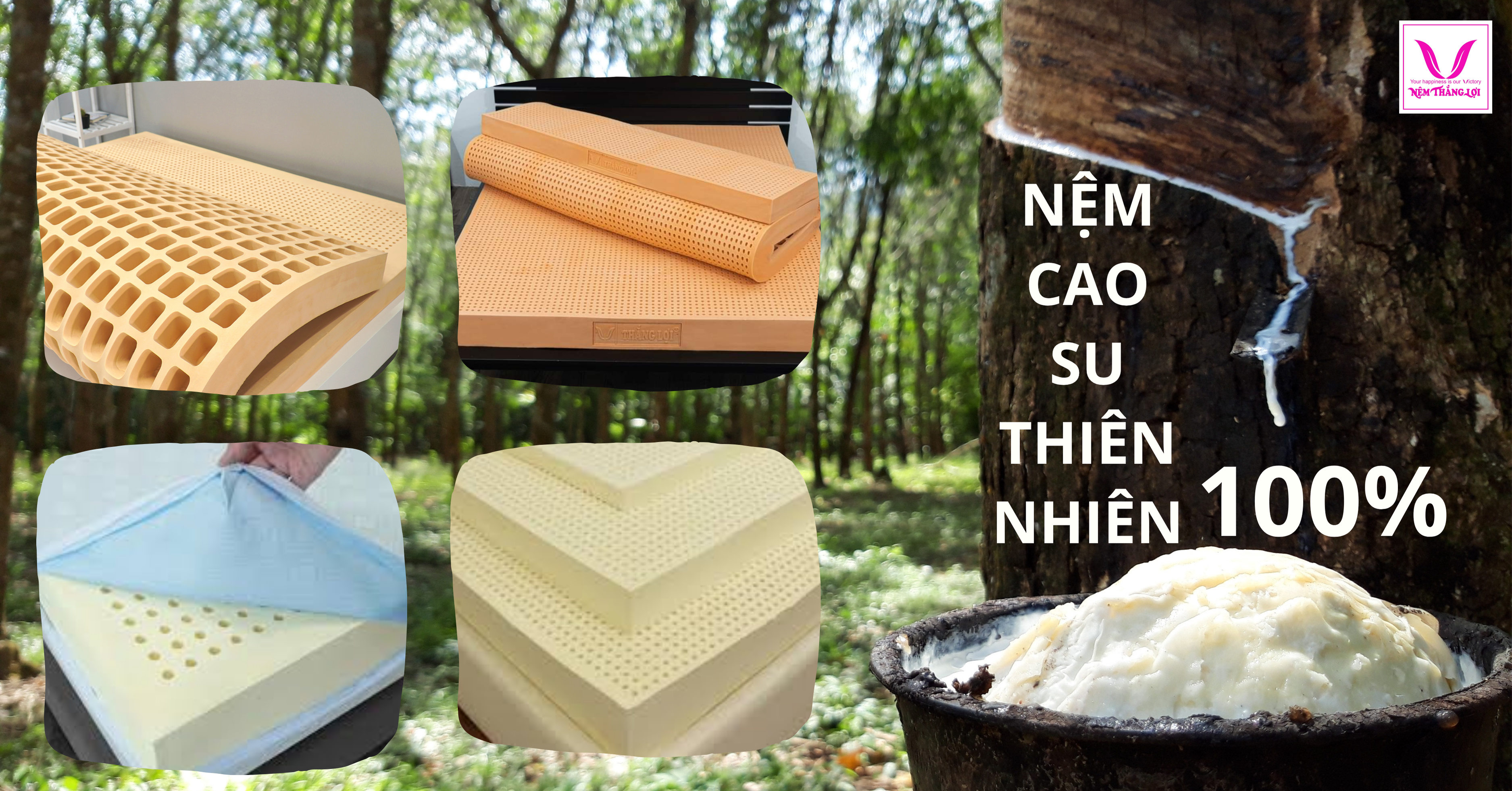 Nệm cao su thiên nhiên – có xứng đáng với từng đồng bạn bỏ ra