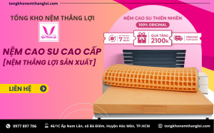 nem cao su cao cap - [nem thang loi san xuat]