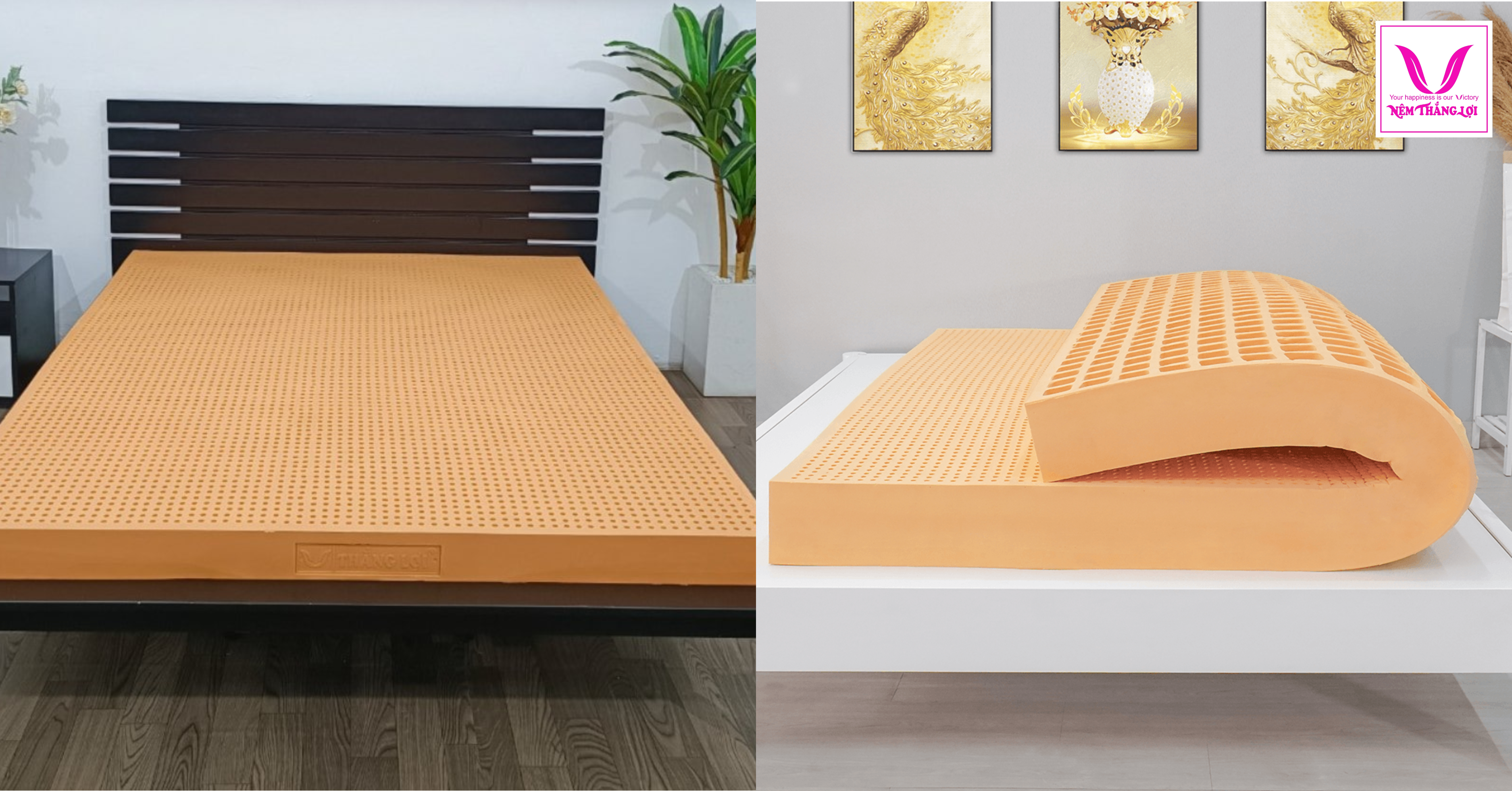 NÊN MUA NỆM 10CM HAY 15CM LÀ TỐT NHẤT Tiêu chuẩn để chọn mua kích thước nệm 10cm hay 15cm?